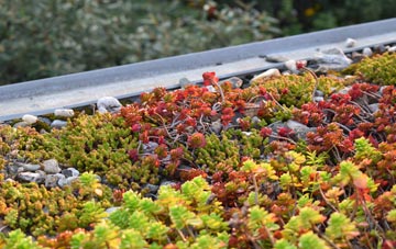 the cost of Cribyn green roof installation
