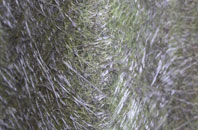 Cribyn fibreglass roof work